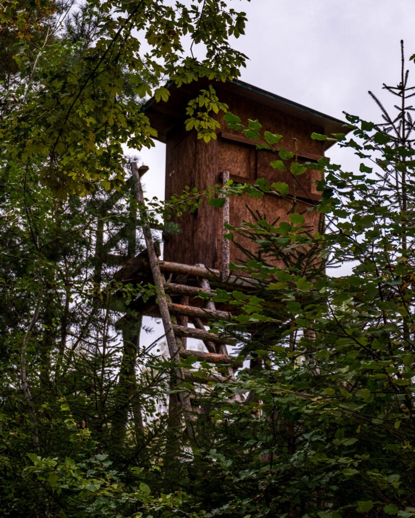 Hochstand im Wald