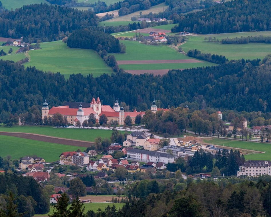 Blick über die Hügel der Oststeiermark
